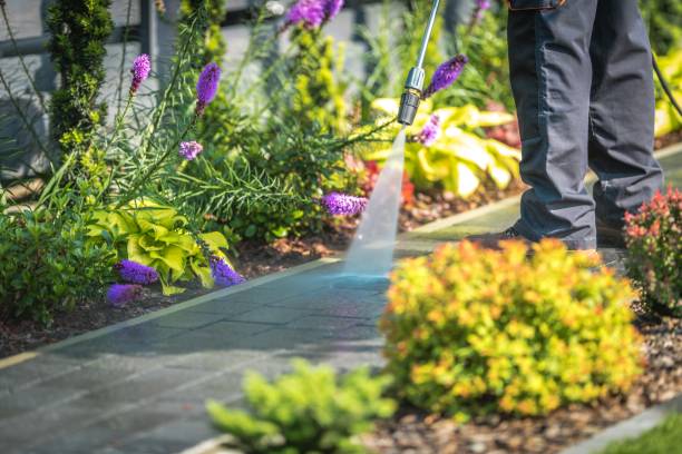 Winterizing Services in Holly Lake Ranch, TX