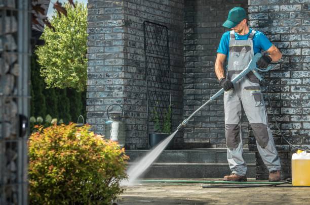 Best Building Exterior Washing  in Holly Lake Ranch, TX