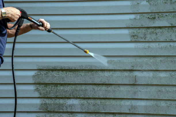 Best Pool Deck Cleaning  in Holly Lake Ranch, TX