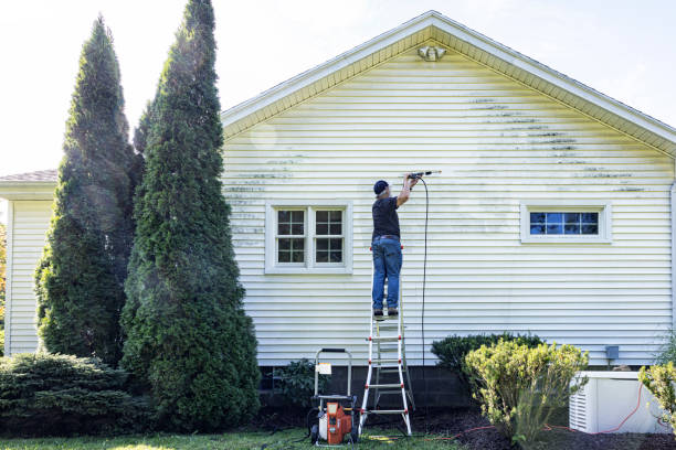 Professional Pressure Washing Services in Holly Lake Ranch, TX